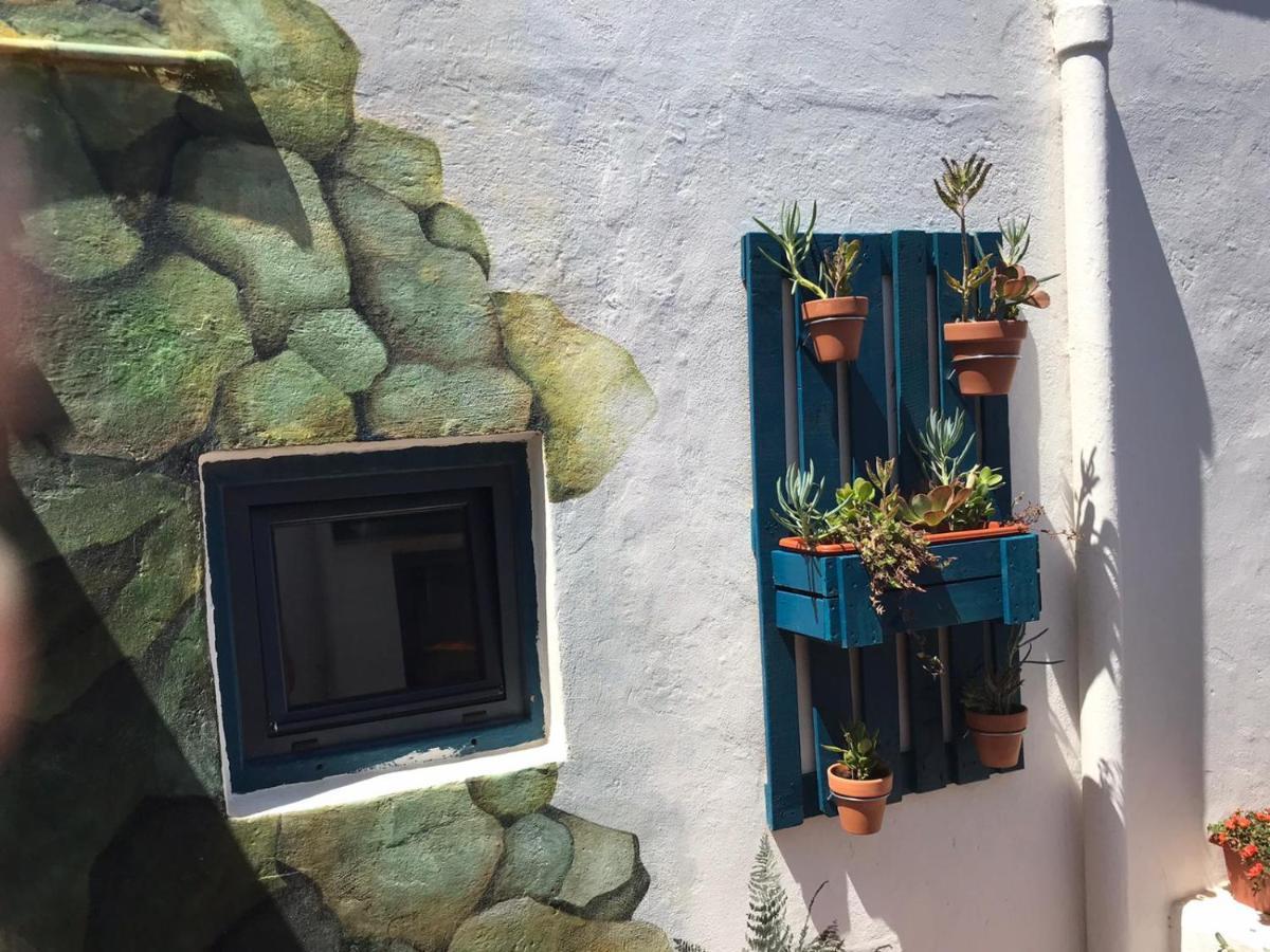 Pura Vida Casa Del Mar Villa Brena Baja Luaran gambar